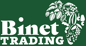 Binet Trading Logo Footer